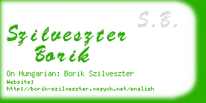 szilveszter borik business card